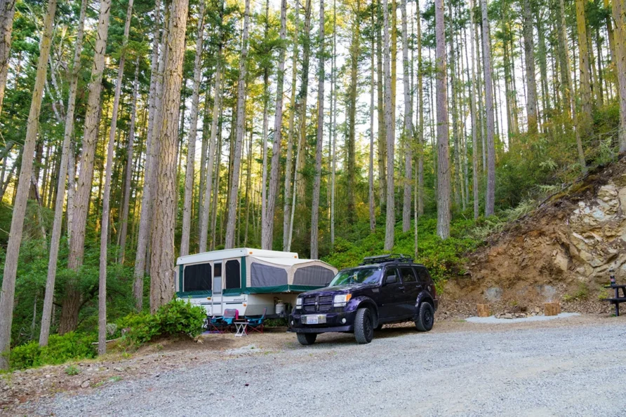 Why Sam Houston National Forest is the Best Glamping Destination